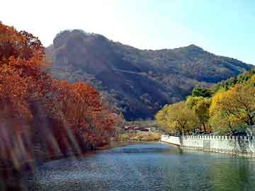 新澳天天免费资料大全，丰田花冠召回